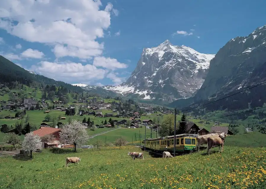 Din Zurich: excursie de o zi la Grindelwald și Interlaken