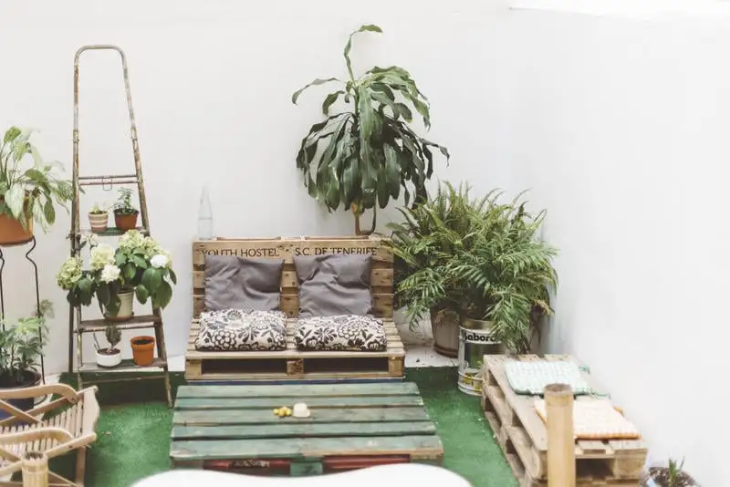 Aloe Vera Shared House najlepsze hostele na Teneryfie