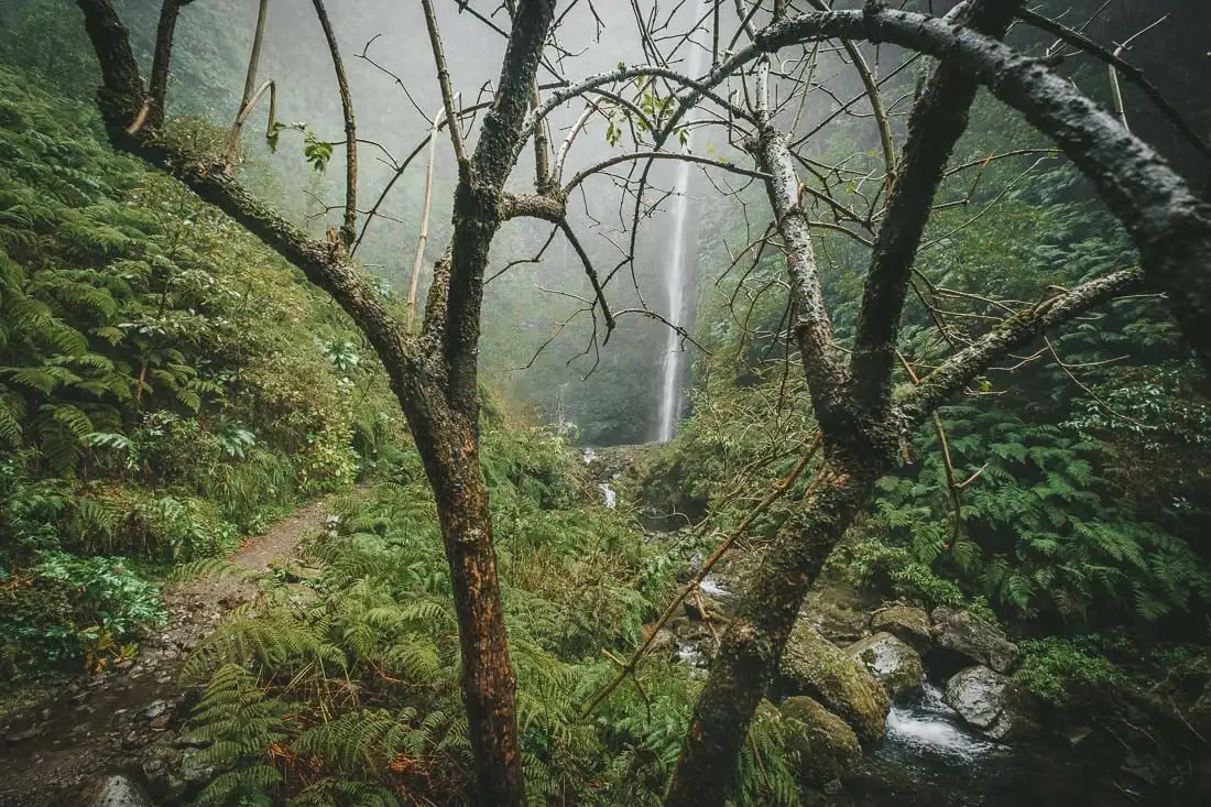 tiré du chaudron vert