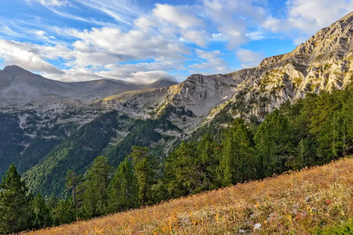 Vues sur les montagnes depuis le parc national du Mont Olympe