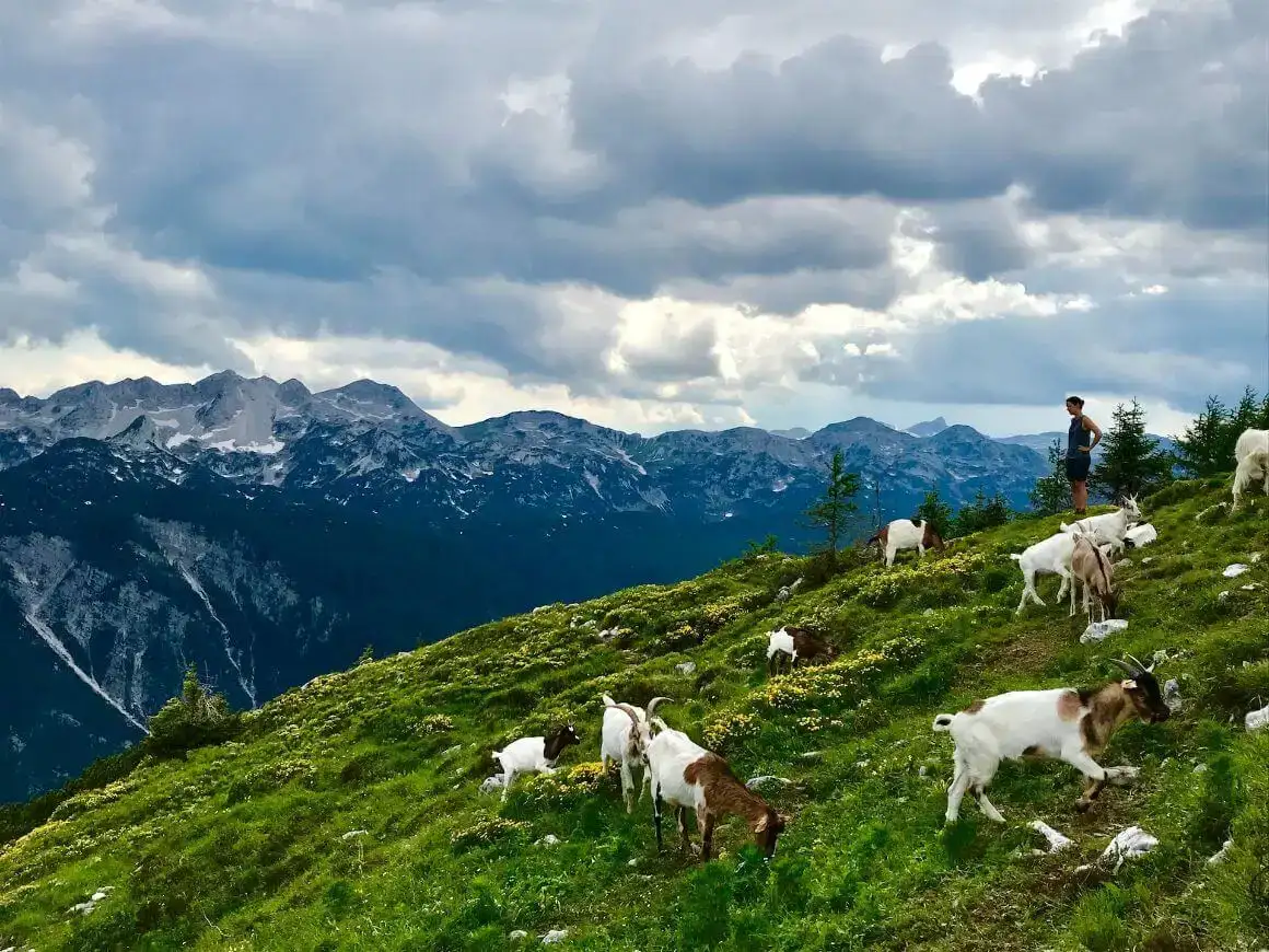 Triglav nationalpark