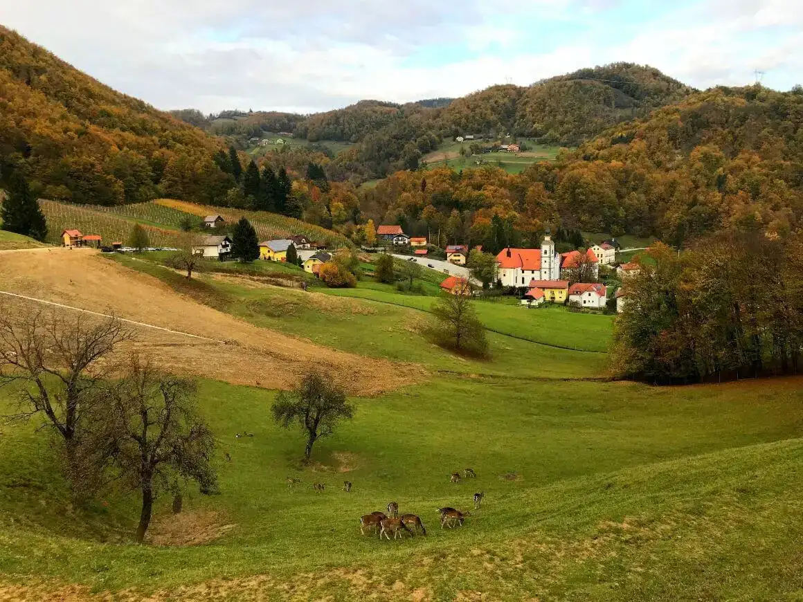 Zelenci Reserve
