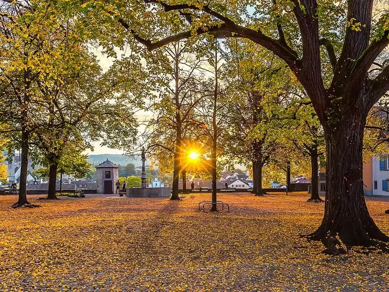 Zajímavosti v Curychu: Lindenhof