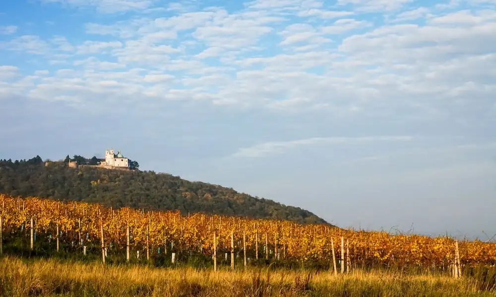 Kahlenberg Viena