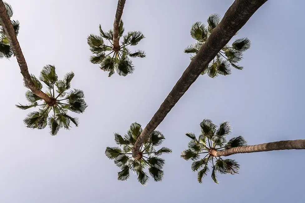 Un groupe de personnes jouant au yoga sur la plage de Palma, Majorque