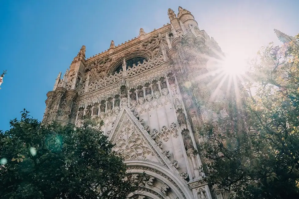 Cathédrale de Séville entourée d'arbres avec le soleil derrière elle.