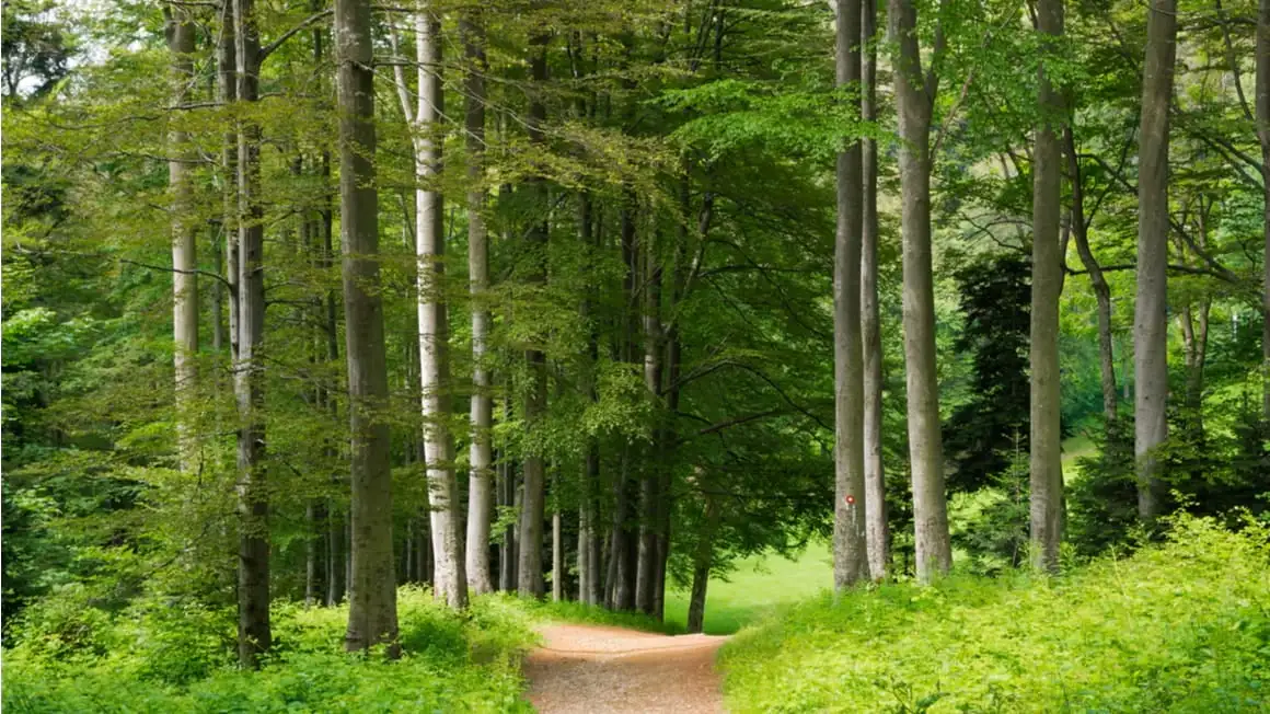 Boucle du parc naturel de Medvednica hors des sentiers battus en Croatie