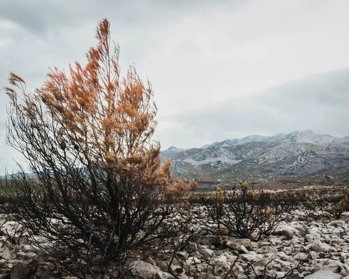 Sentier de randonnée Velebit La meilleure randonnée de plusieurs jours en Croatie