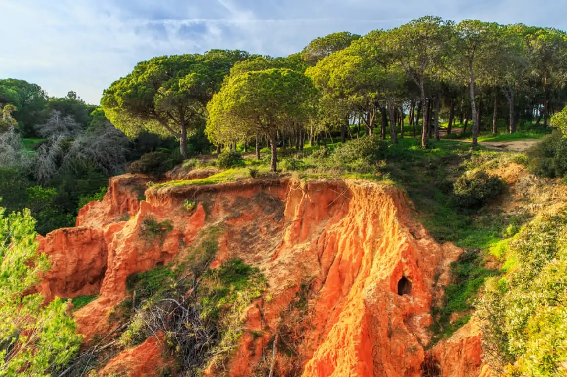 Ria Formosa naturpark