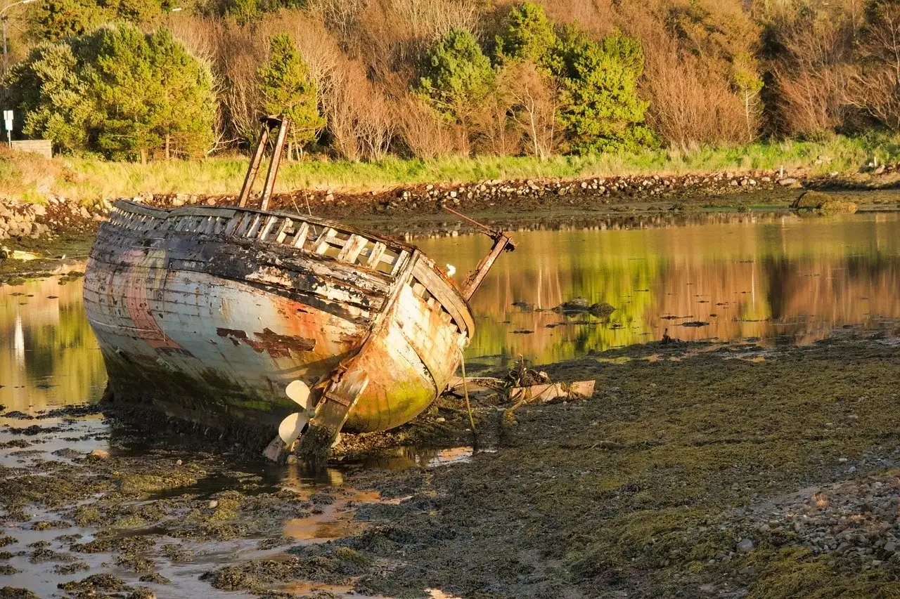 prosop de la mare la vârf