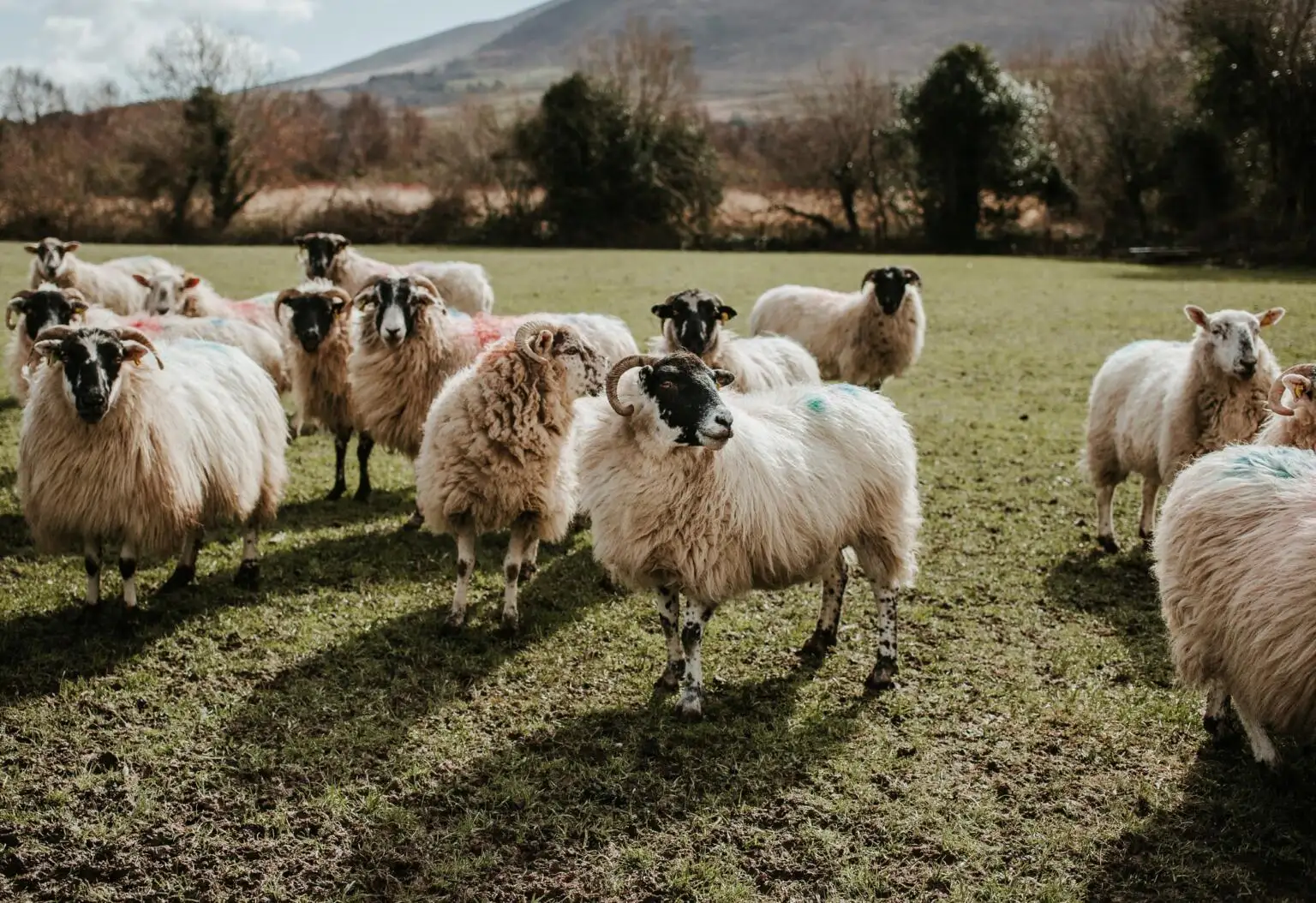 mochilão na Irlanda