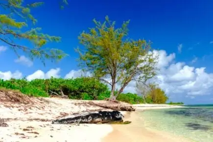 The Sanctuary, Cayman Island