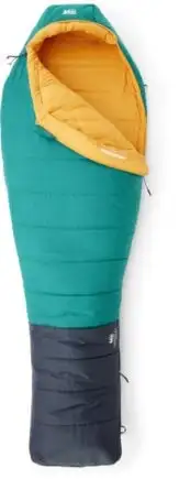 Spací pytel The North Face Wawona Bed 20