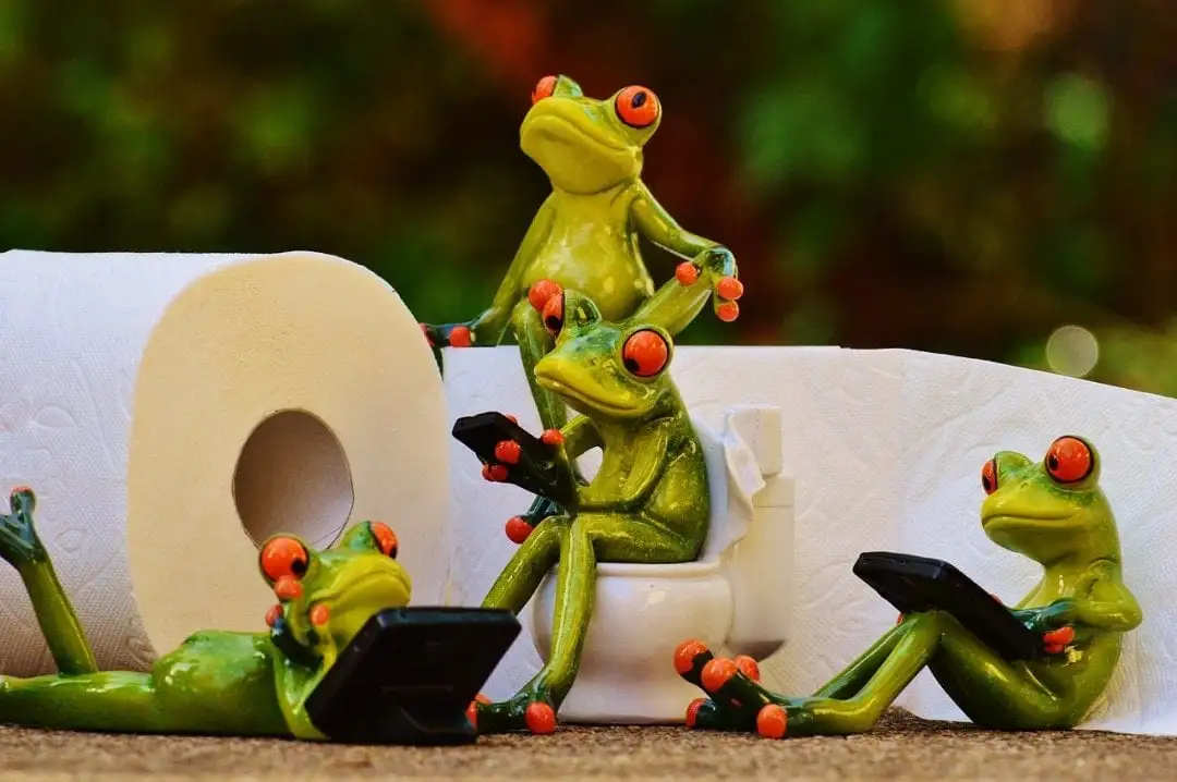 Happy Frogs emballant du papier toilette avec sa liste d'articles de toilette