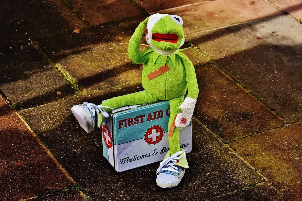 Kermit avec sa trousse de premiers secours en train de préparer