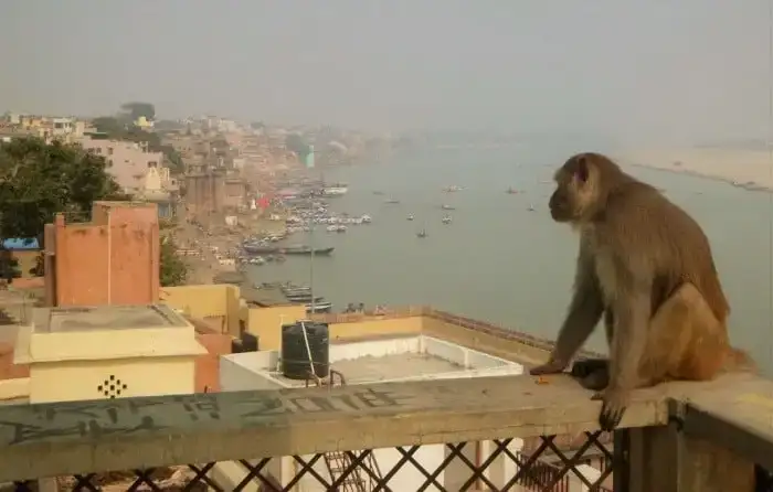 Varanasi est un bon exemple de la nécessité de méthodes de purification de l'eau pour les pays du tiers monde.