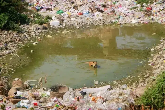 L'impact environnemental des bouteilles d'eau en plastique est réduit grâce aux bouteilles d'eau filtrées