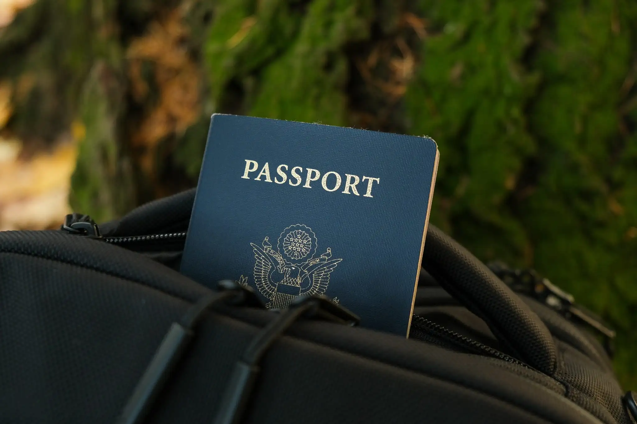 revisão do pacote de viagem aer