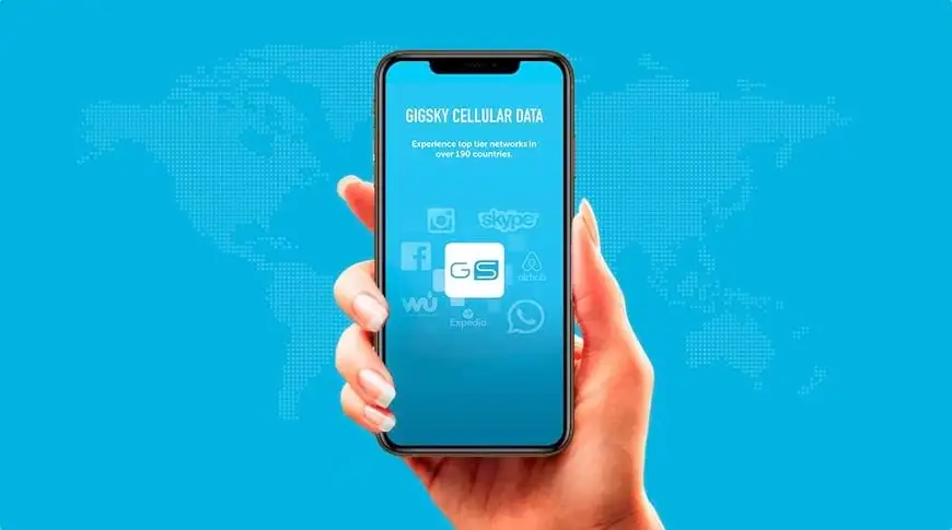 SimOptions 웹사이트 홈페이지