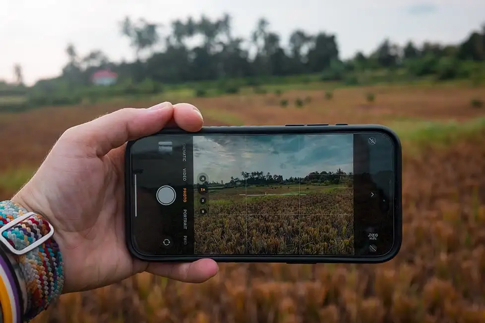 Tenant un téléphone pour prendre une photo de quelques rizières à Bali, en Indonésie.