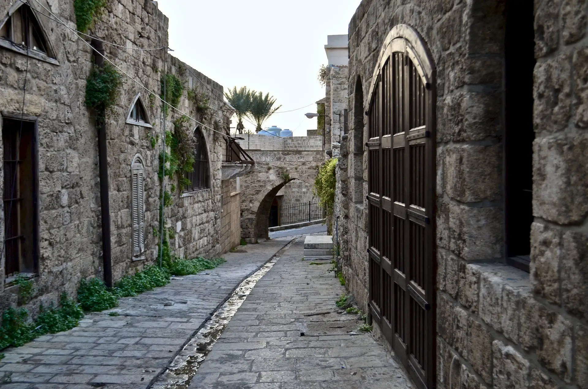 Ensamresande Libanon