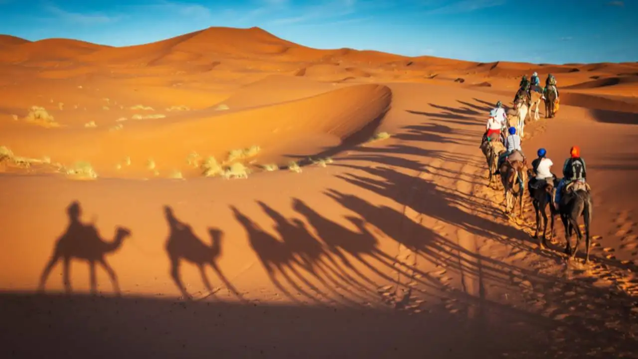 Excursão noturna de safári no deserto