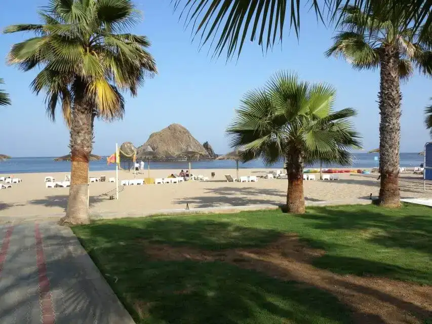 Дубай Al Marmoom и Al Qudra Lakes