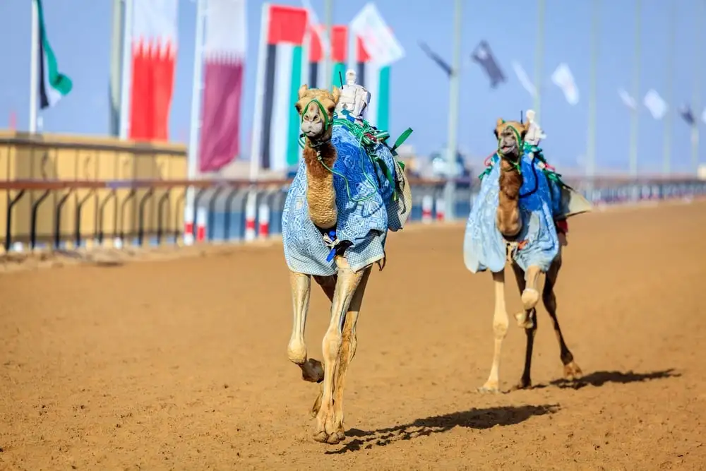 بوليوود باركس، دبي
