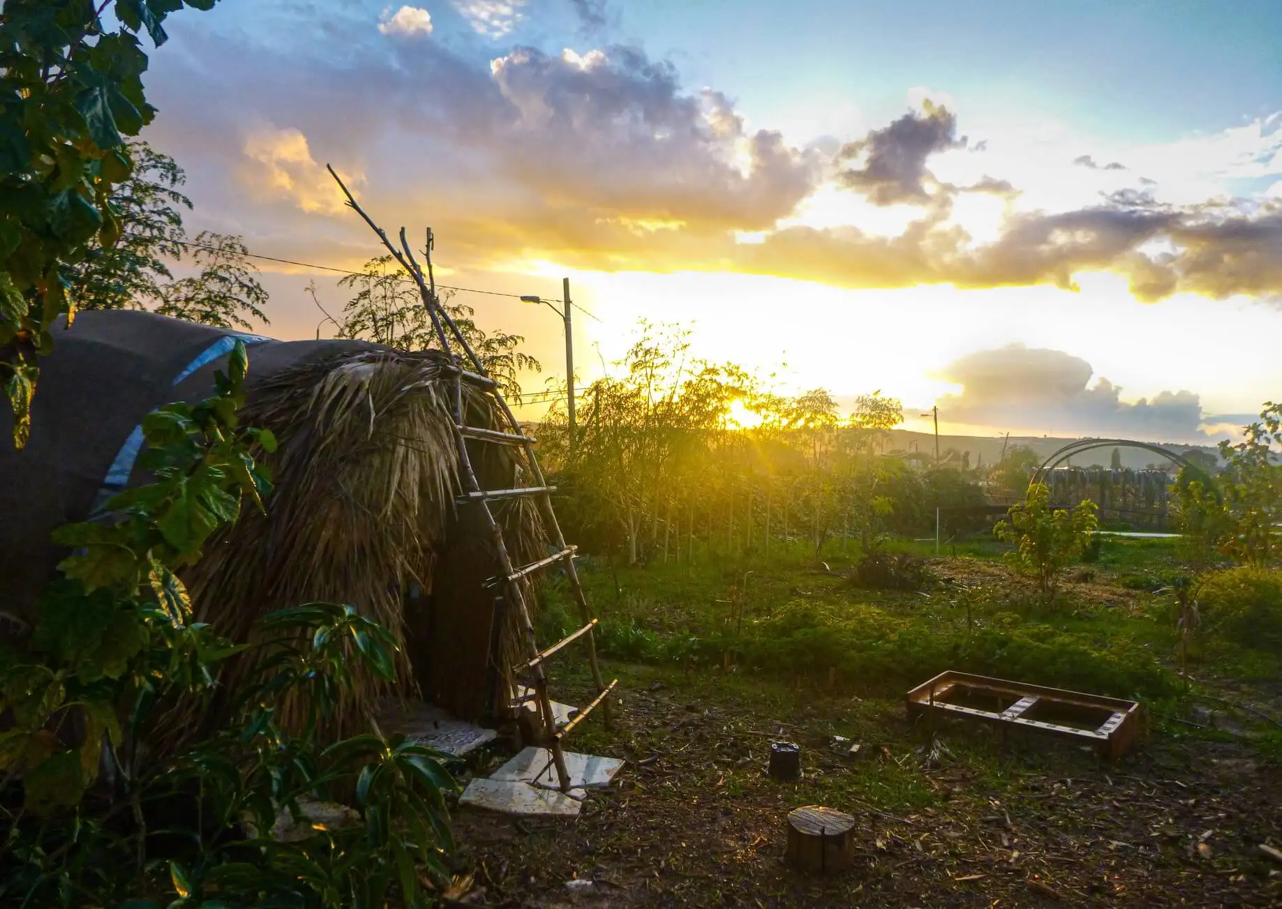 Un hébergement alternatif en Israël dans un moshav Airbnb
