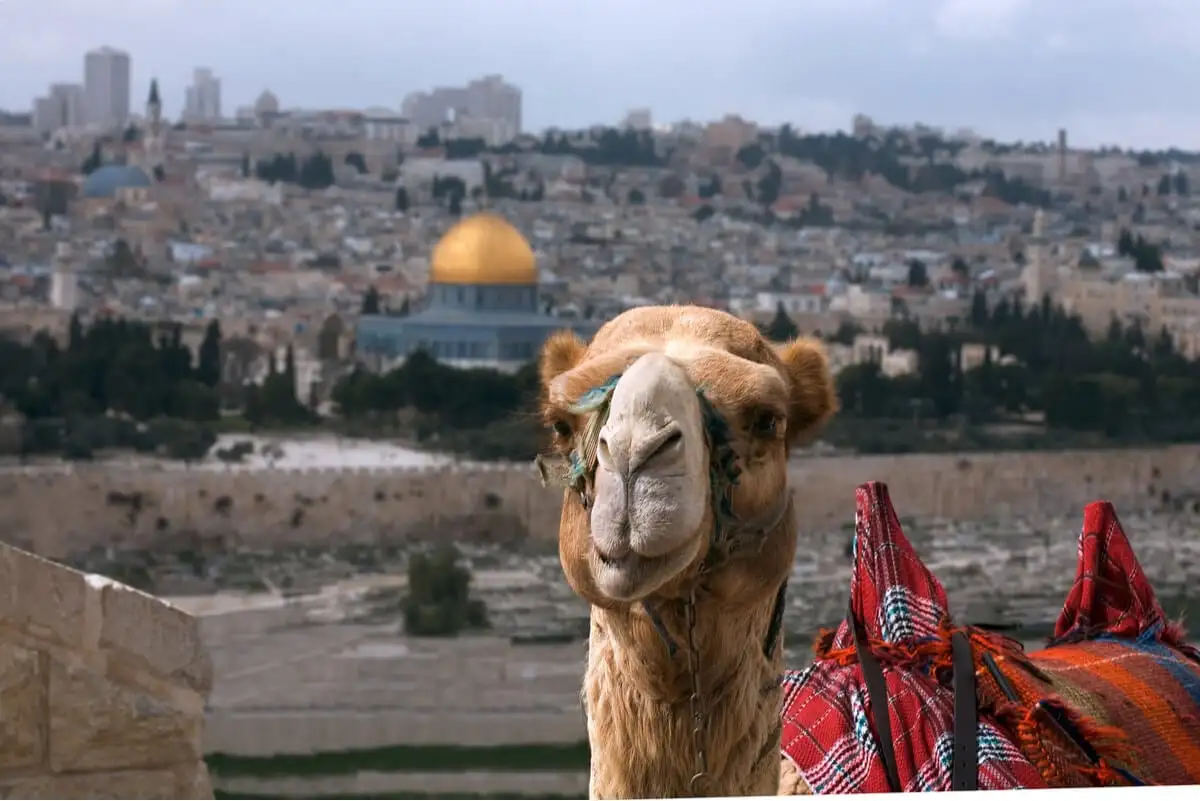 Un groupe de soldats israéliens gardant une destination touristique populaire