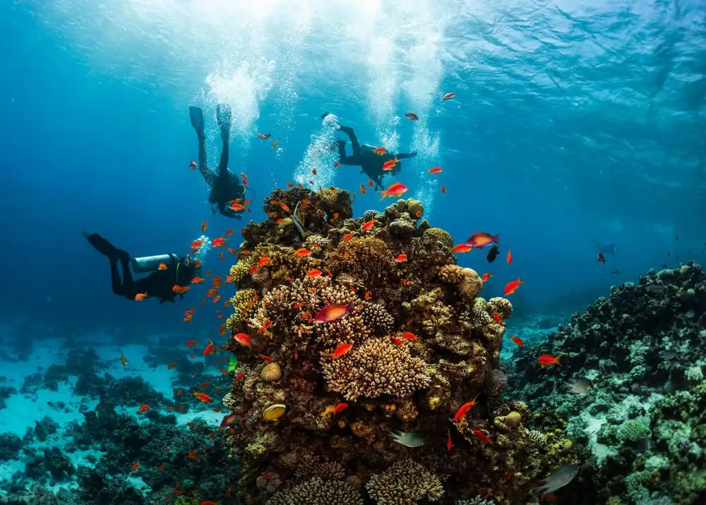 Trois personnes plongeant sous-marine sur le site des Trois Sœurs à Eilat