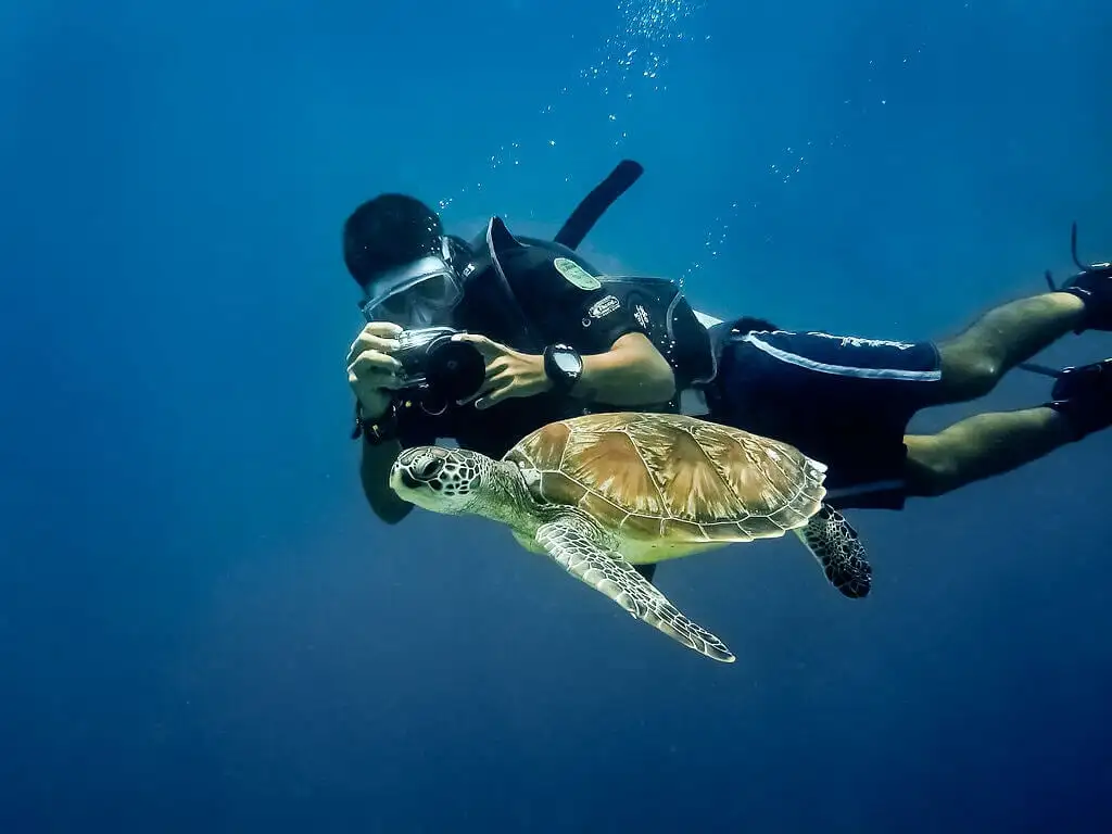 Homme photographiant une tortue tout en apprenant avec une école de plongée à Eilat