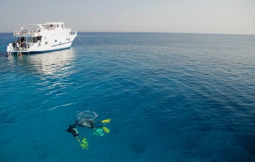 Les plongeurs à Eilat profitent de leurs vacances de plongée