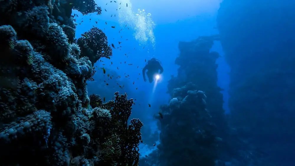 Plongeur en Israël explorant les structures sous-marines de la mer Rouge