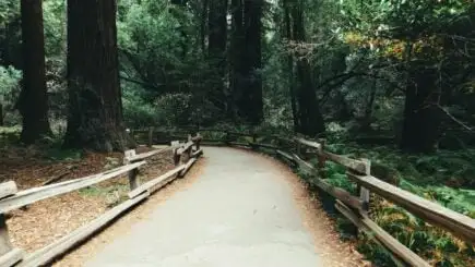 Passeie pela região vinícola de Napa e Sonoma
