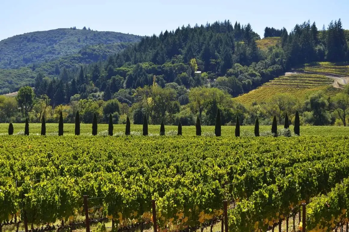 Sobrevoe o Napa Valley em um balão de ar quente