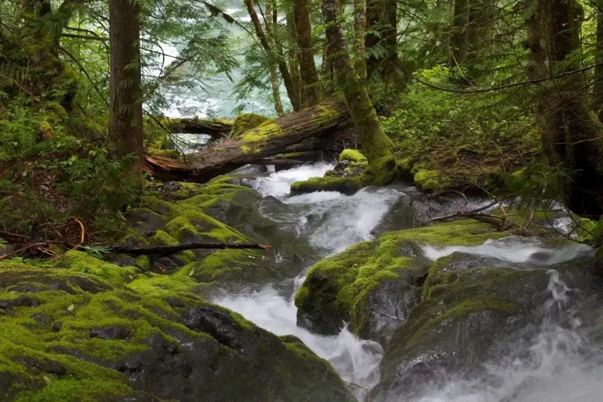 meilleurs parcs nationaux aux États-Unis