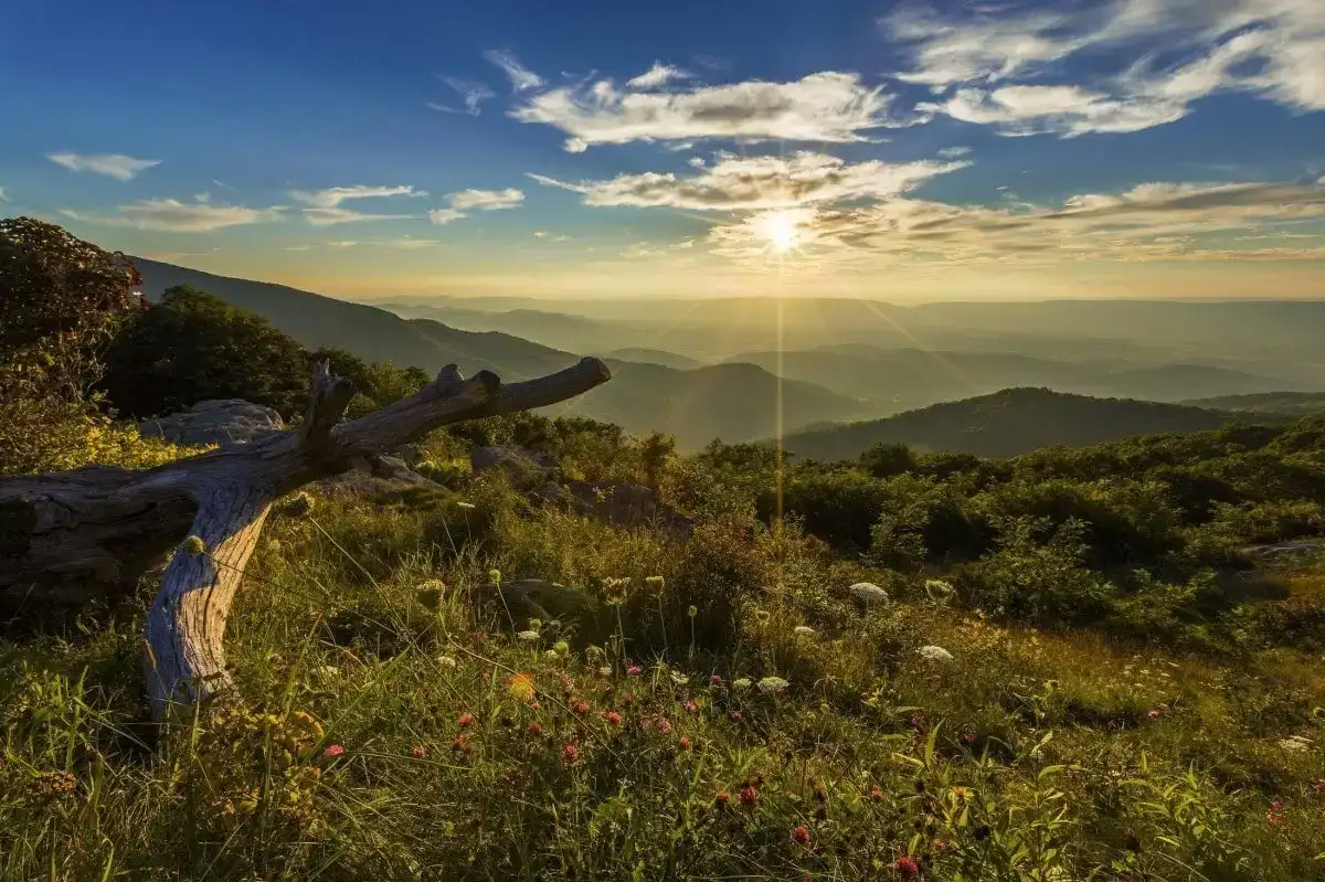 meilleurs parcs nationaux aux États-Unis