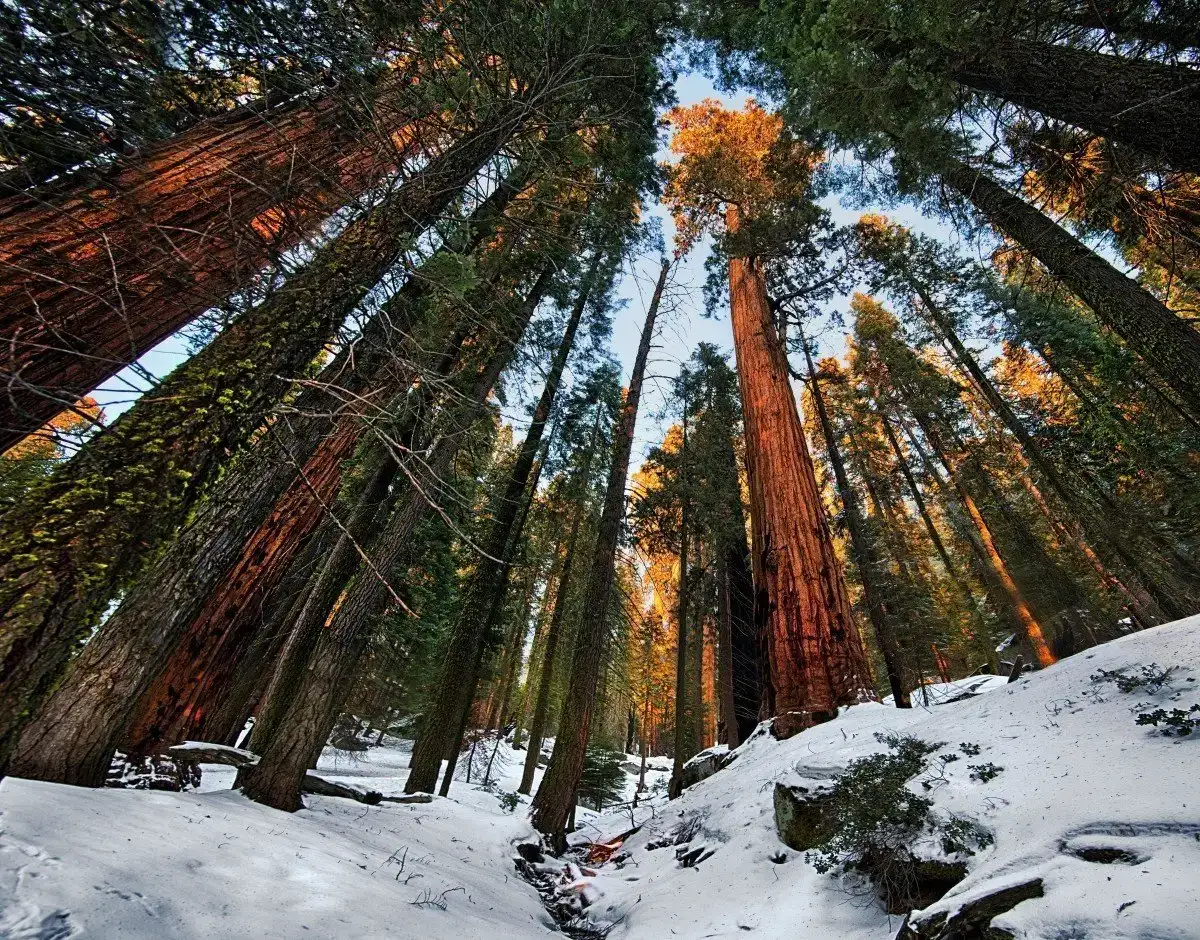 meilleurs parcs nationaux aux États-Unis