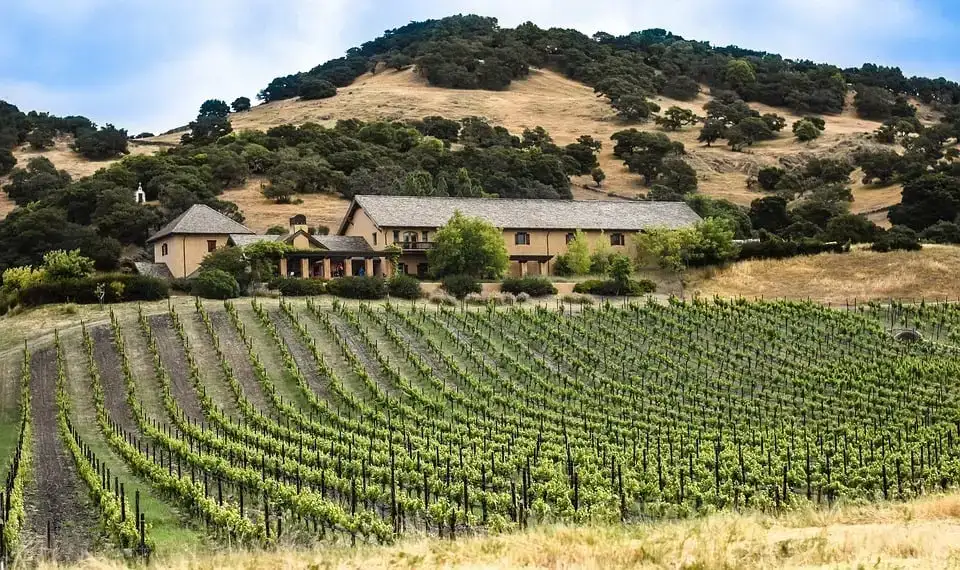uma garota olhando para uma vista incrível de Big Sur Califórnia, Estados Unidos da América.