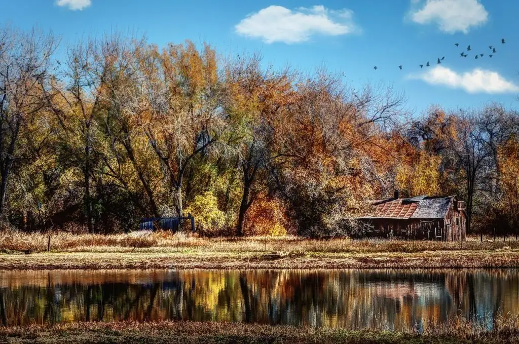 Fort Collins