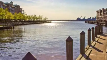 Wyndham Garden Norfolk Downtown
