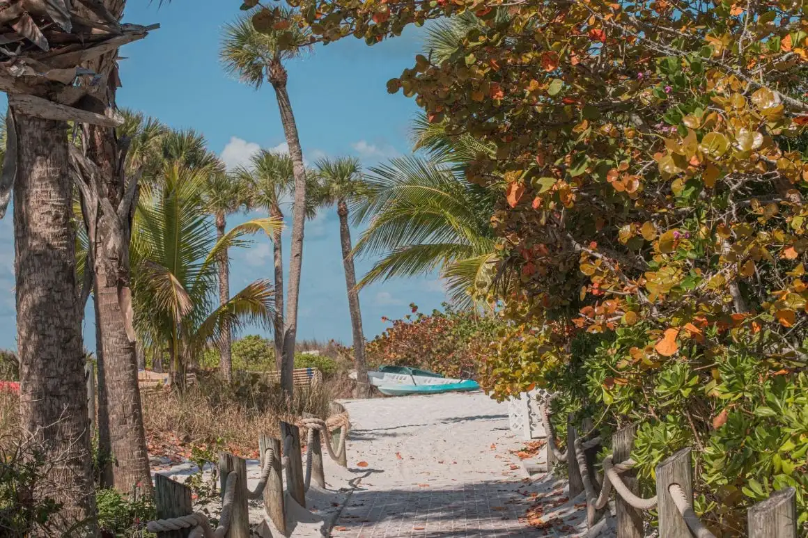 TTD в Indian Beach Sarasota