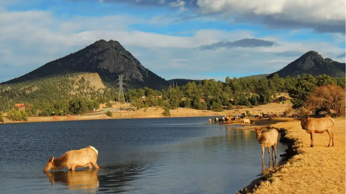 Ruscello del masso su Fall River Estes Park