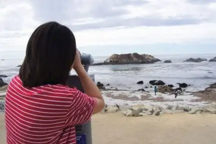 探索蒙特雷和卡梅尔