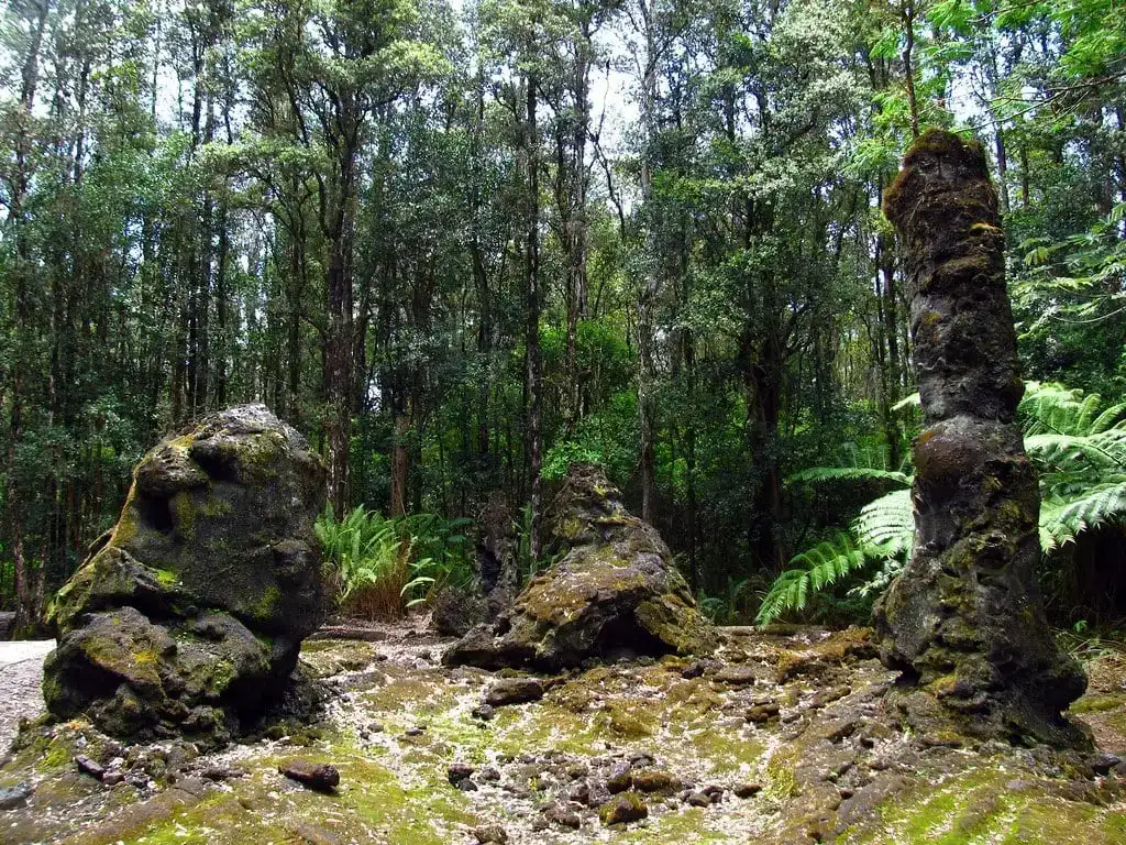 Státní památka Lava Tree