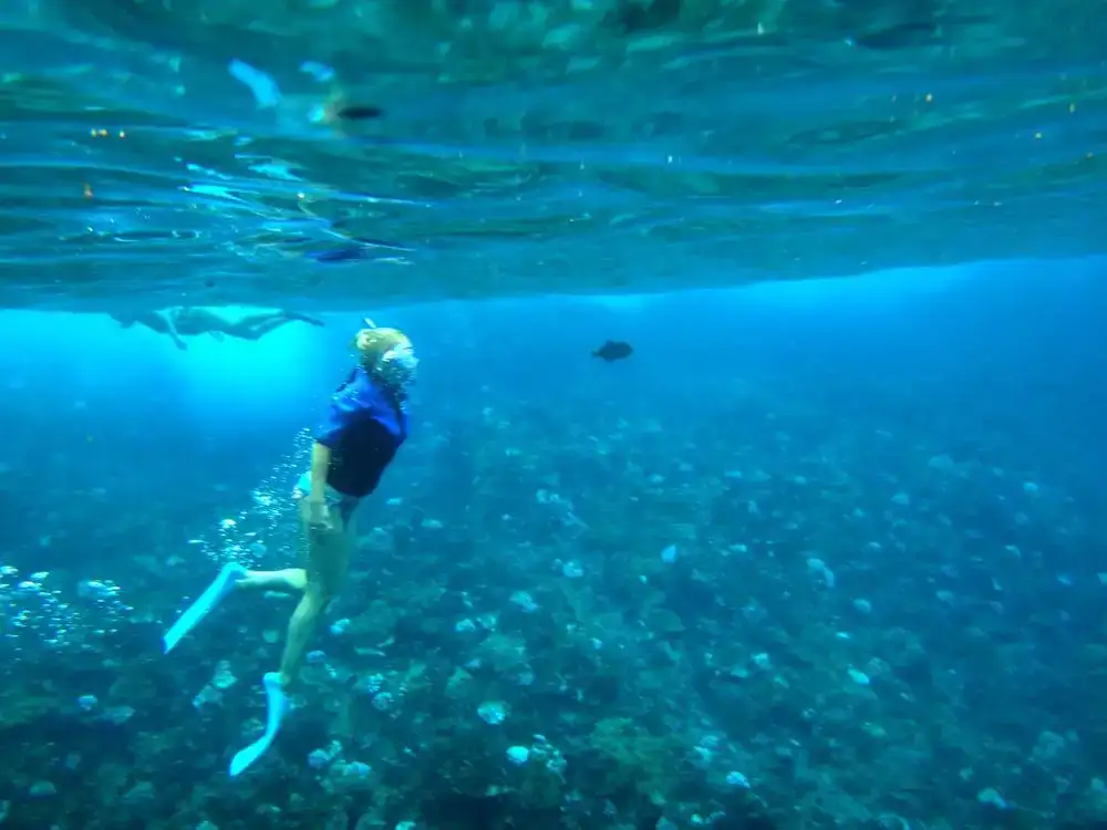 Šnorchlujte do Coral Gardens nebo do kráteru Molokini