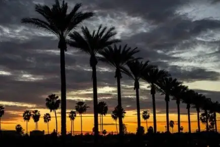 Triângulo de Platina, Anaheim