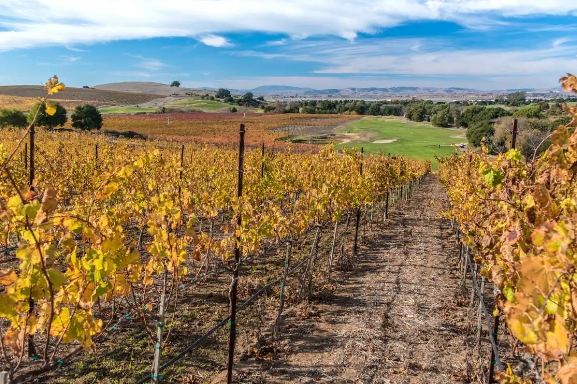 St Helena Napa Şehir Merkezinde 2 Yatak Odalı Daire
