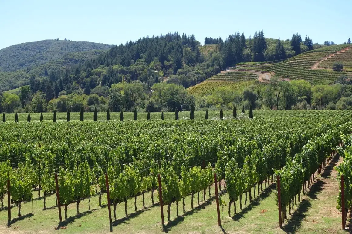Calistoga Napa